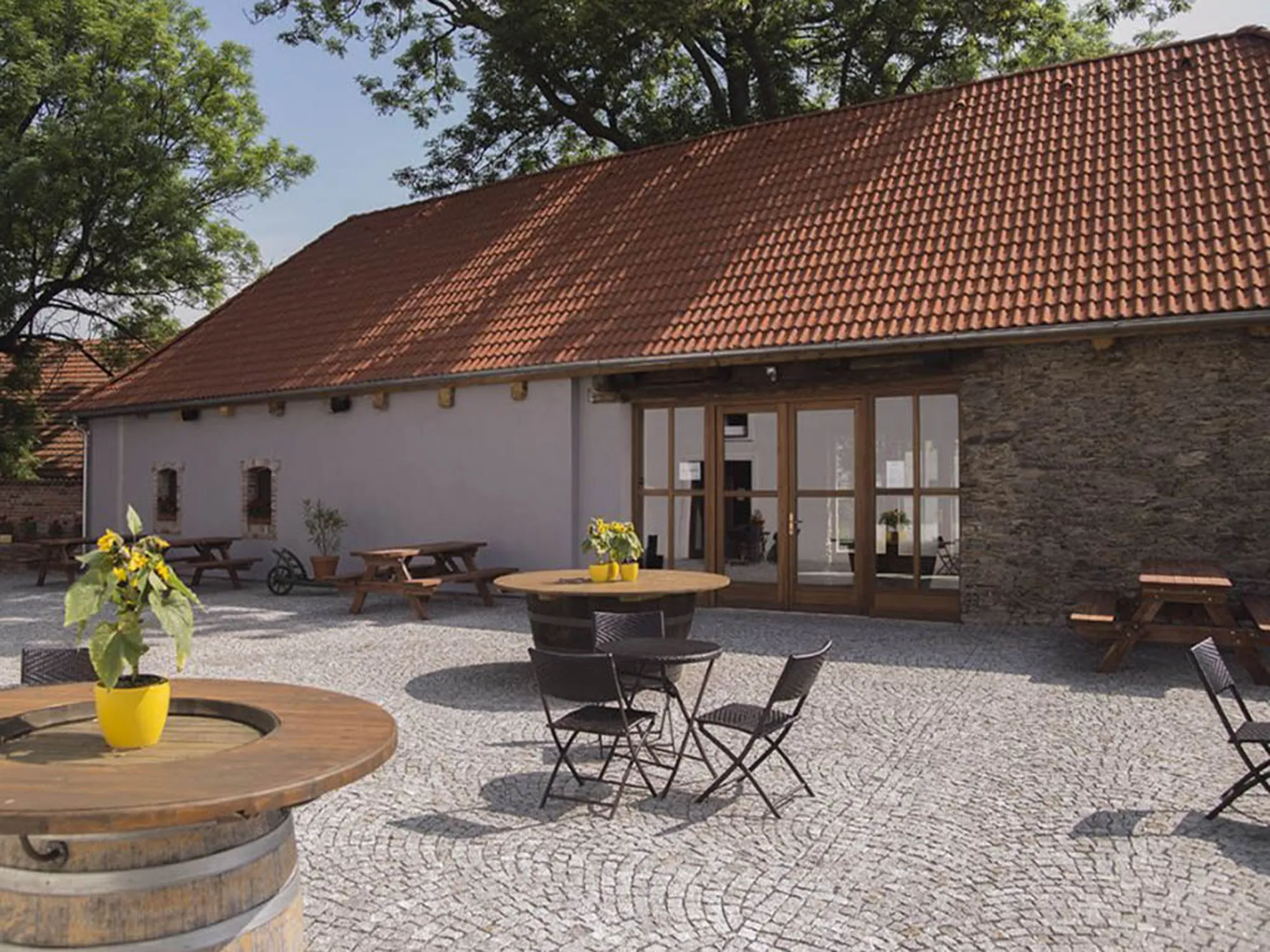 Tři lidé s dvěma štěňaty na cvičebních podložkách