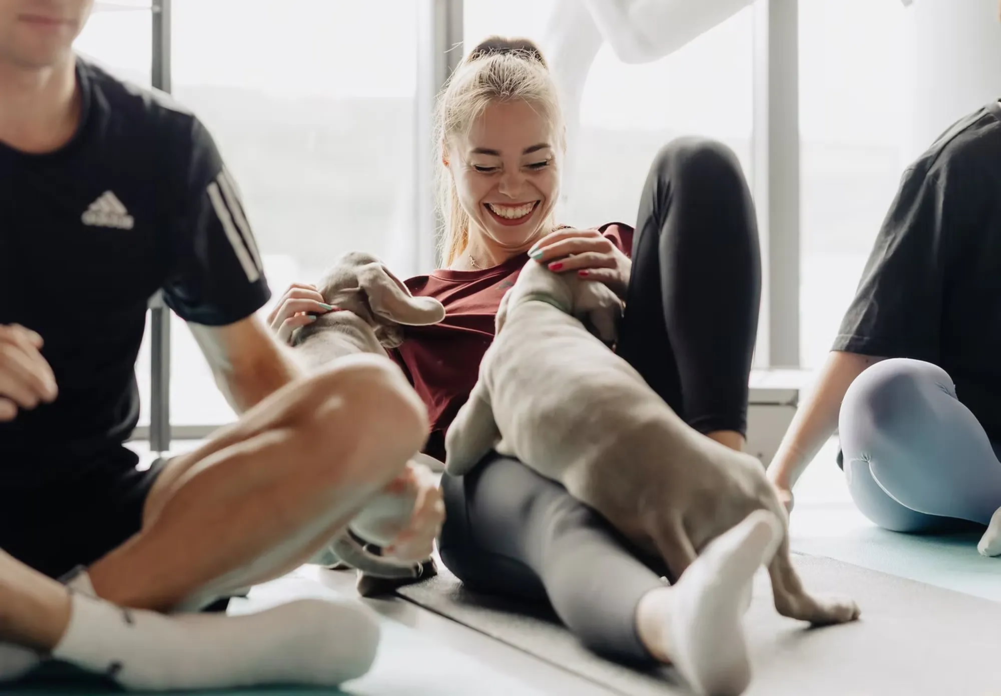 Tři lidé s dvěma štěňaty na cvičebních podložkách