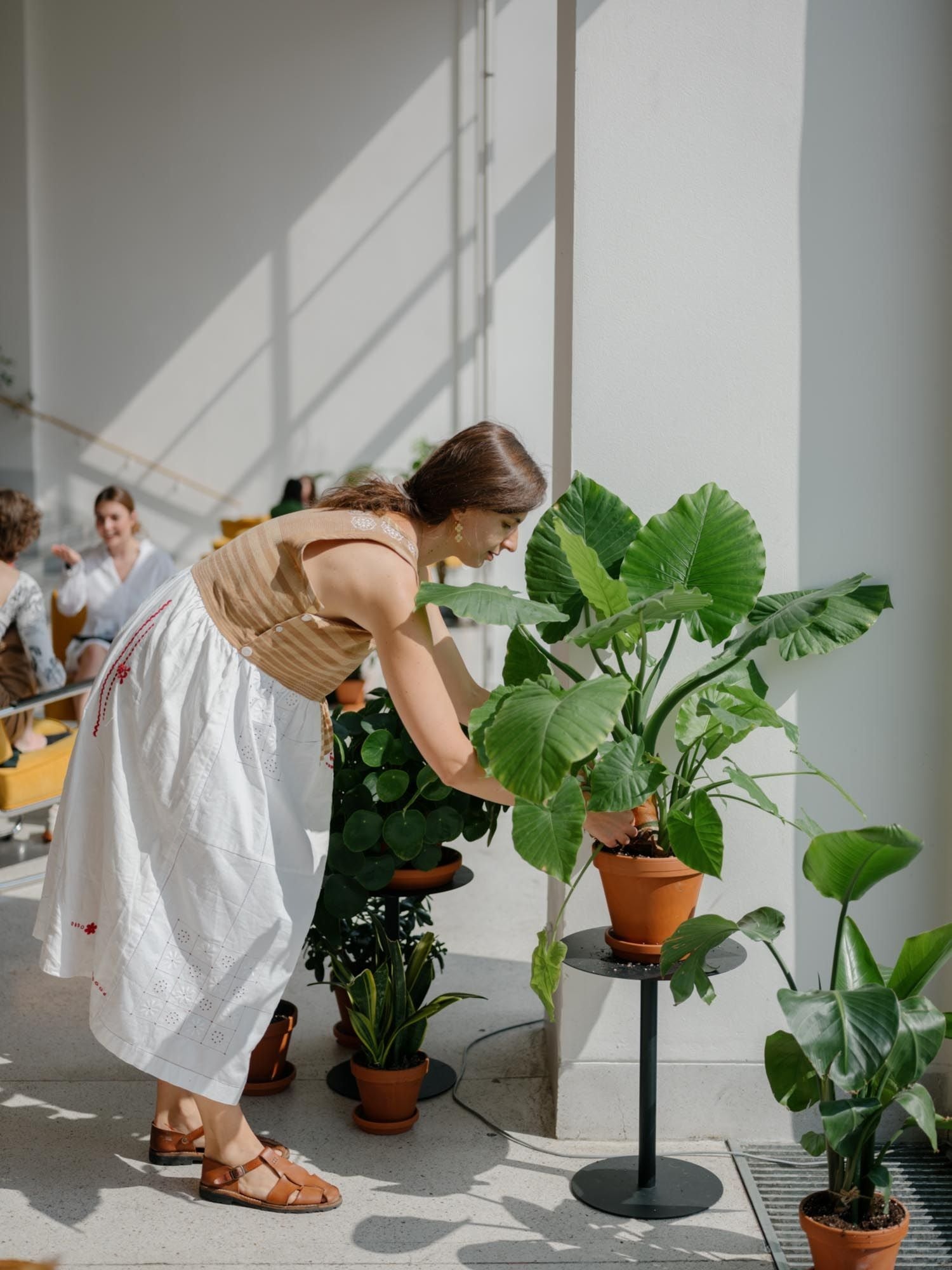 Proč se k nám přidat 2